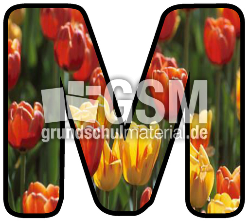 Dekobuchstaben-Tulpe_M.jpg